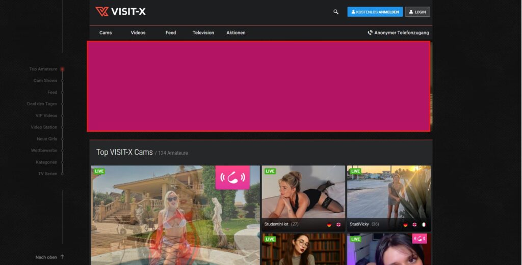 Visitx