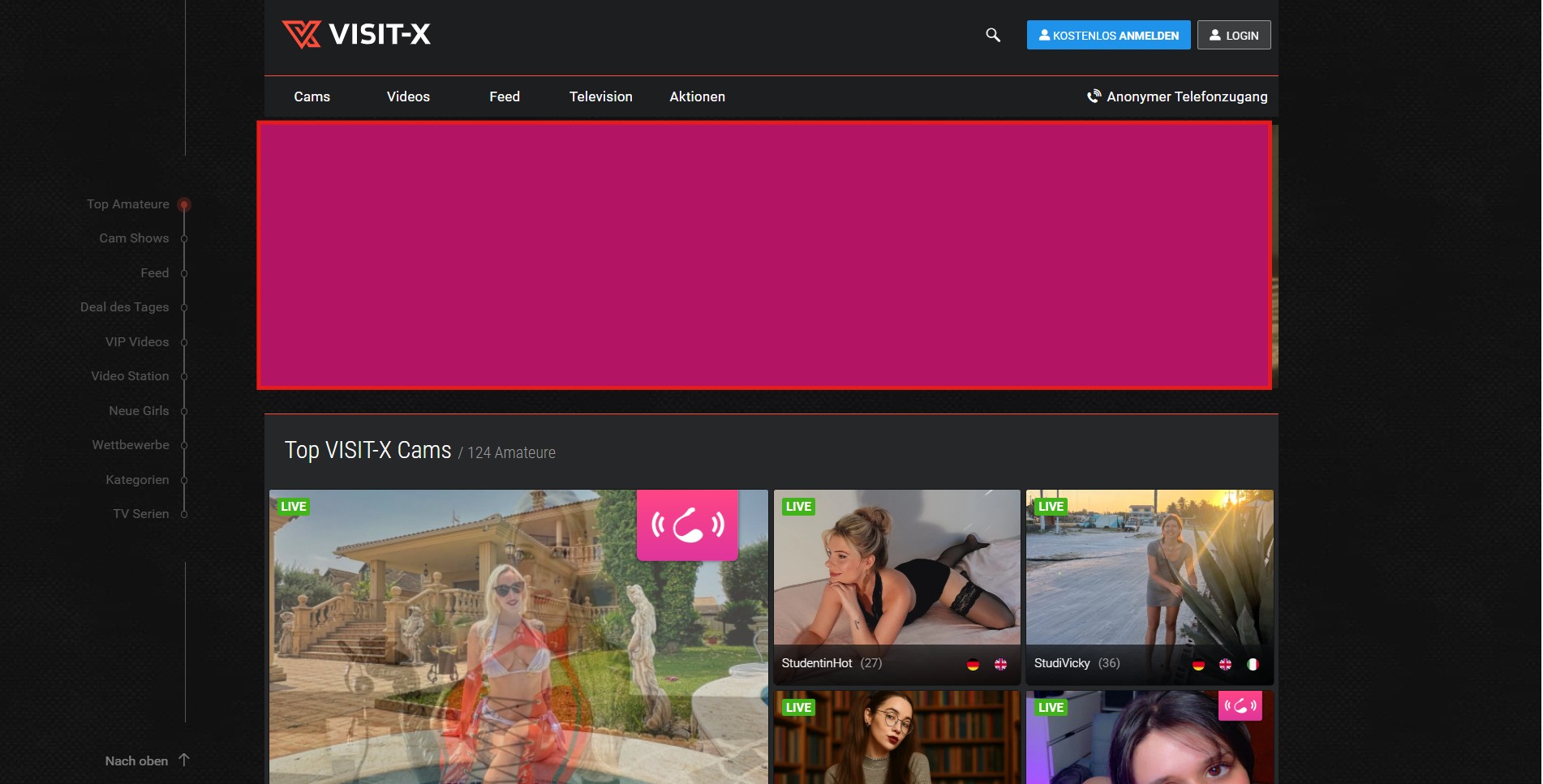 Visitx