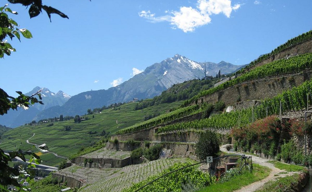 Sentier du bisse de Clavau le long des vignes en terrasses au-dessus de Sion, montagnes en arrière-plan