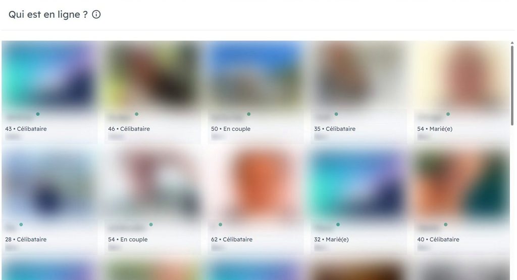 Rubrique Qui est en ligne de C-Date avec les photos floutées