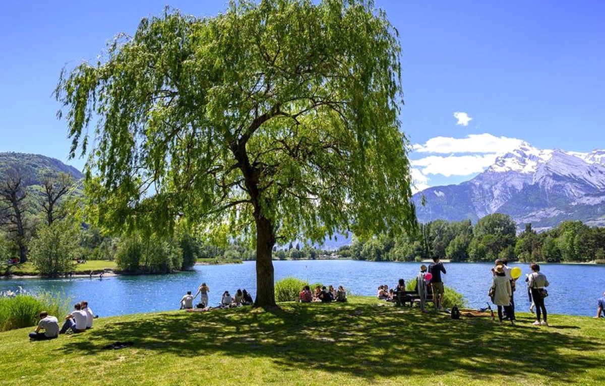 Groupes assis sous un saule au bord de l'étang du Domaine des Îles à Sion, montagnes enneigées au fond