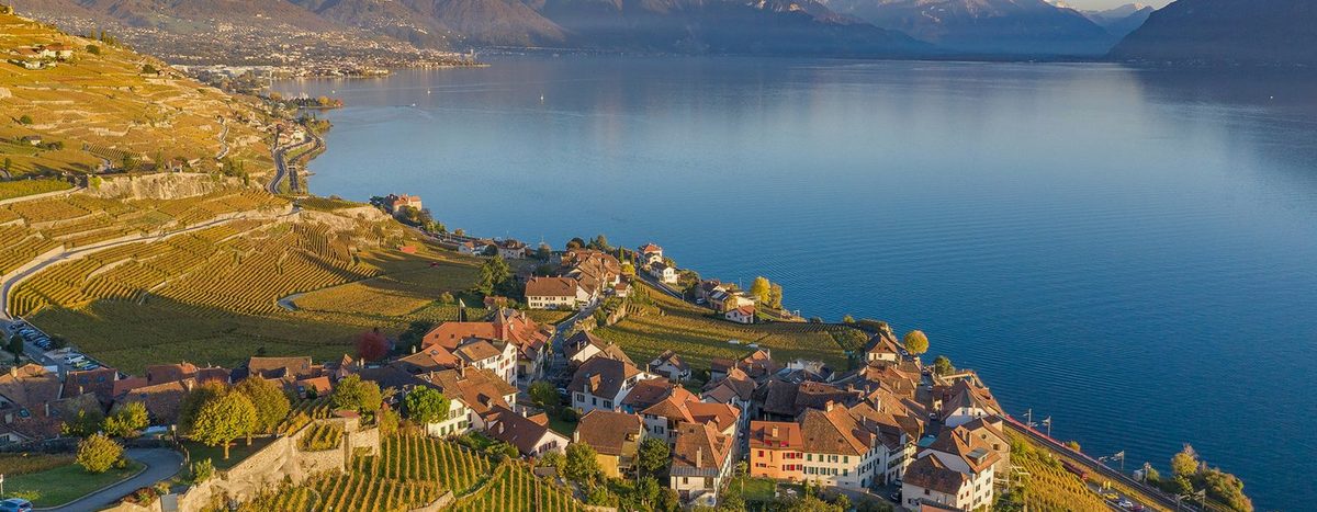 Vignes du Lavaux au-dessus du Léman, lieu de balade pour un rendez-vous